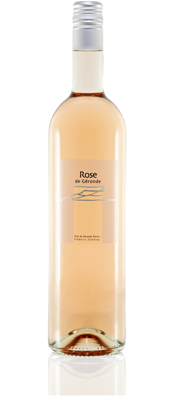 Rose de Géronde 2024